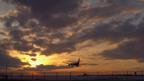 비행기 착륙. 새벽입니다. 이른 아침입니다. 하늘에는 수평선에 오렌지 — 비디오