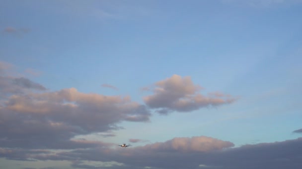 Modern business jet flies in sky on clear sunny day, beautifully shaped clouds — Stock Video