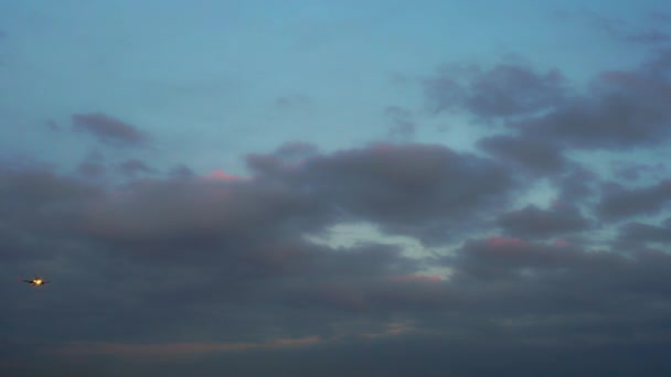 The plane is preparing to go for landing. Evening, dark blue and purple clouds — Stock Video