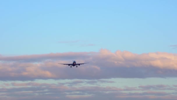 Plane takes off, landing. Large commercial plane flies overhead Daytime Close-up — Stock Video