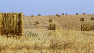 Havaalanına park etmiş çok sayıda uçak. İş jetleri yolcu uçakları