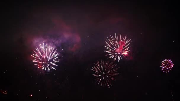 Kék, piros, rózsaszín, zöld és arany színű káprázatos tűzijáték, az éjszakai égbolt — Stock videók