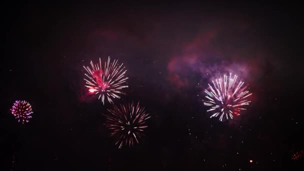 Colore blu, rosso, rosa, verde e oro dei fuochi d'artificio abbaglianti, nel cielo notturno — Video Stock