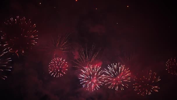 Vermelho, cor-de-rosa e ouro de fogos de artifício deslumbrantes, céu escuro no fundo. 4K — Vídeo de Stock