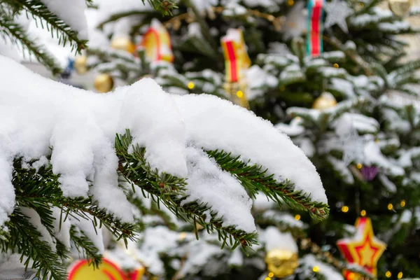 Χριστουγεννιάτικα στολίδια. Κλαδιά από πραγματικό έλατο καλυμμένα με χιόνι. Κλο — Φωτογραφία Αρχείου