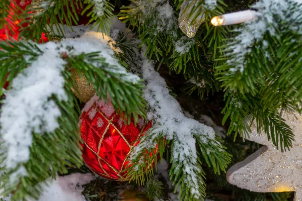 Addobbi natalizi. Vero abete coperto di neve. Christma. — Foto Stock