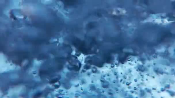 Air bubbles floating from the seabed to the surface of the water. Slow motion — Stock Video