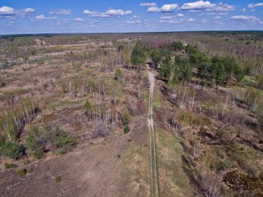 Güneş ışığı altında bataklık arazi ıslahı unsurları ile dronun yükseklikten doğal peyzaj.