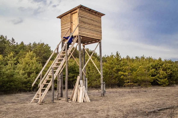 Archery Tree Stand Stock Photos Royalty Free Archery Tree Stand