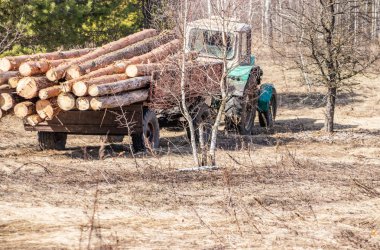 Mekanik yükleme ve ulaşım çam ahşap bir traktör kullanma