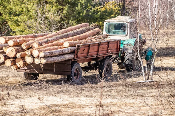 Carga mecánica y transporte de madera de pino mediante tractor — Foto de Stock