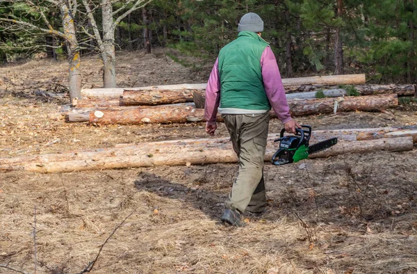 Ormanda el testere ile Woodcutter