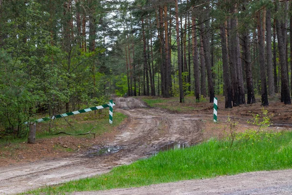 Entry is prohibited, the barrier is closed and stay in the forest and hunting is prohibited — Stock Photo, Image