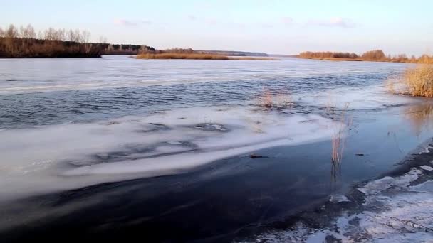 Deep River Wigilię Dryfu Lodu Wiosną Marcu Tle Słonecznego Nieba — Wideo stockowe