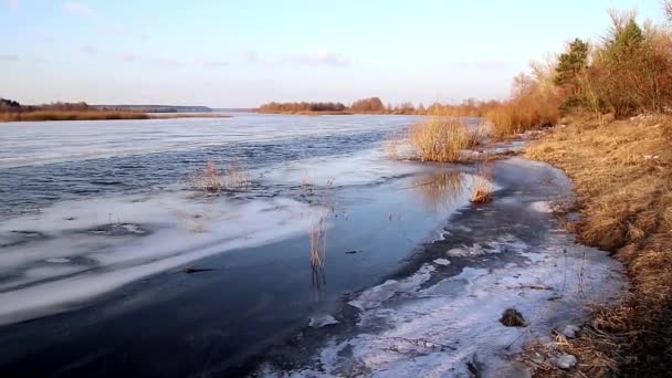 Βαθύ Ποτάμι Την Παραμονή Της Μετατόπισης Του Πάγου Την Άνοιξη — Αρχείο Βίντεο