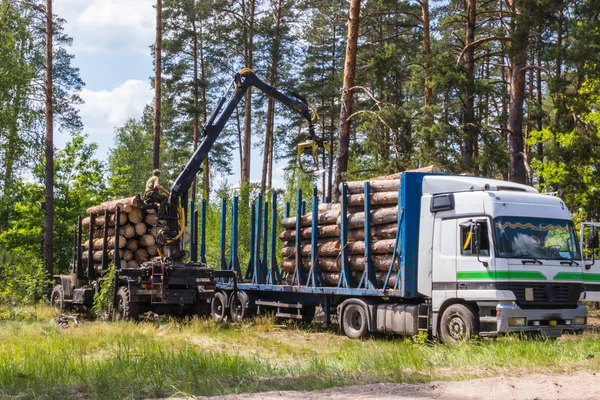 Лісозаготівля та автоматичне завантаження на вантажівку — стокове фото