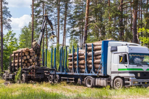 Deforestación y carga automatizada en un vehículo camión — Foto de Stock