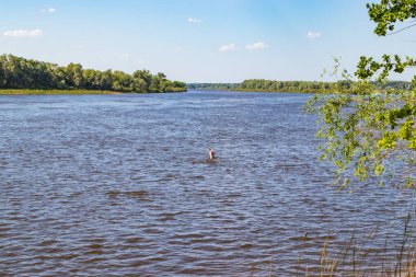 Bir kişi sağlıklı bir yaşam tarzı yol açar ve nehirde yüzer