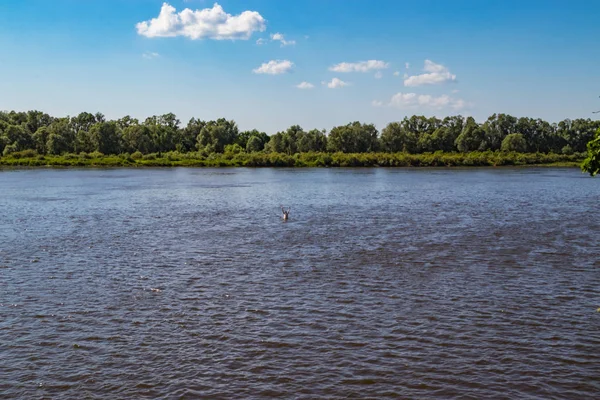 Seseorang memimpin gaya hidup yang sehat dan berenang di sungai — Stok Foto