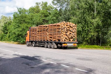Kargo ile karayolu üzerinde bir orman sürmek ile Kereste kamyon