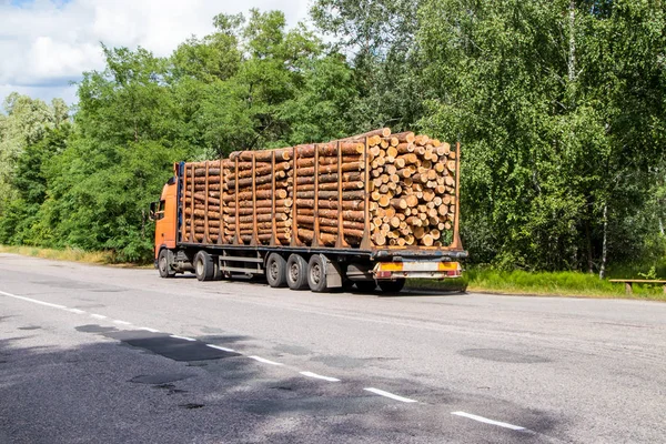Camión de madera con un bosque paseos en la carretera con carga — Foto de Stock
