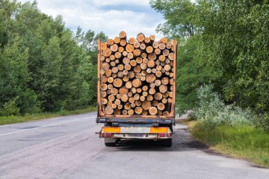 Kargo ile karayolu üzerinde bir orman sürmek ile Kereste kamyon