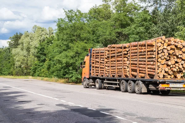 Camión de madera con un bosque paseos en la carretera con carga — Foto de Stock