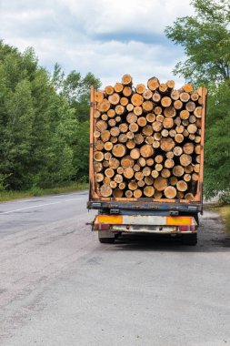Kargo ile karayolu üzerinde bir orman sürmek ile Kereste kamyon