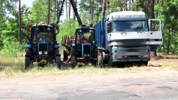 Skogsavverkning Och Automatisk Lastning Lastbil Skogsindustrins Koncept Och Skogsarbetarnas Konstanta — Stockvideo