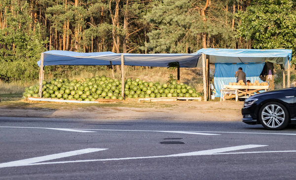 watermelons and melons in a spontaneous market