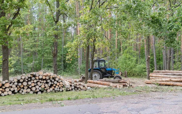 Deforestación industrial por trabajadores forestales utilizando maquinaria — Foto de Stock