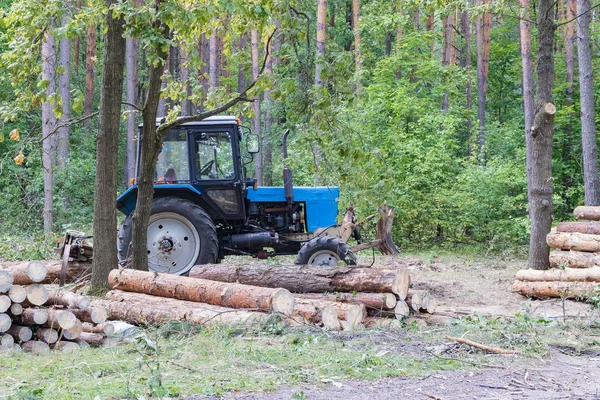Industrial deforestation by forestry workers using machinery
