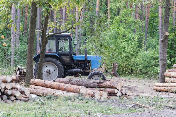 Industrial deforestation by forestry workers using machinery — Stock Photo, Image