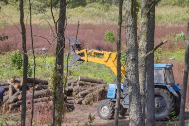 Makine kullanan orman işçileri tarafından endüstriyel ormansızlaşma