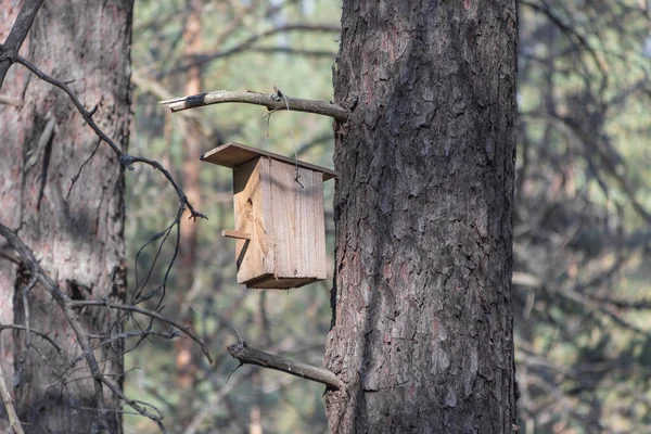 Nueva pajarera de madera en un árbol para pájaros del bosque en el bosque —  Fotos de Stock