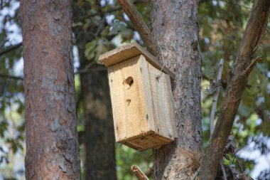 Ormandaki orman kuşları için ağaçtaki yeni ahşap kuş yuvası