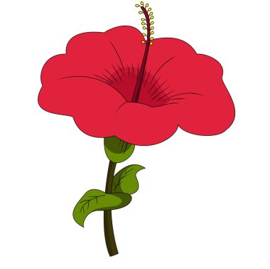 Güzel kırmızı amber çiçeği