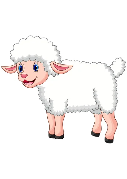 Γελοιογραφία Χαρούμενα Πρόβατα Θέτουν Απομονωμένα Λευκό Φόντο — Διανυσματικό Αρχείο