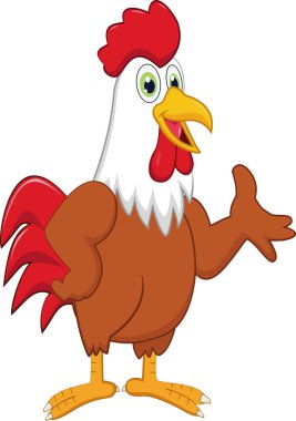 Vektör çizim karikatür horoz sunma