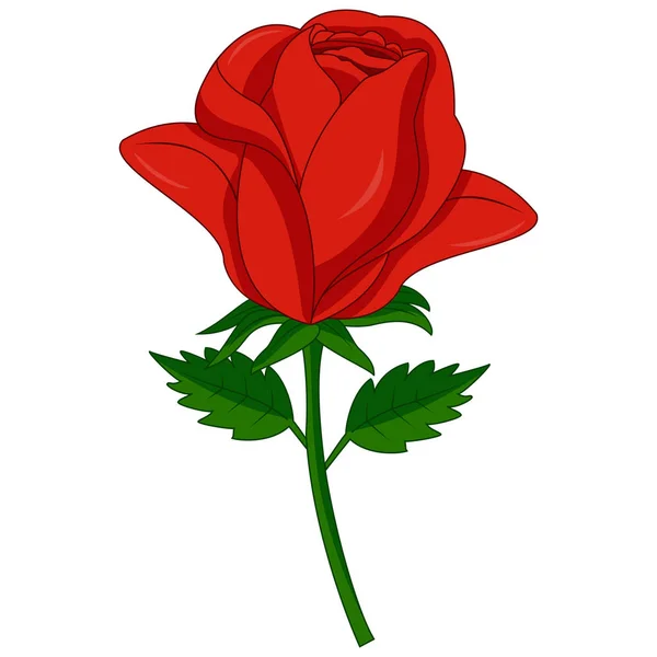 Illustration Vectorielle Dessin Animé Rose Rouge — Image vectorielle