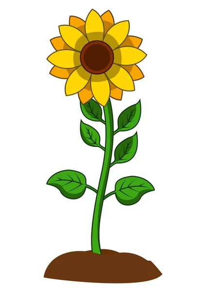 Girasol Con Hojas Verdes Estilo Plano Aislado Sobre Fondo Blanco — Vector de stock