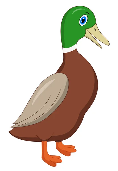 Lindo Pato Dibujos Animados Aislados Sobre Fondo Blanco — Vector de stock