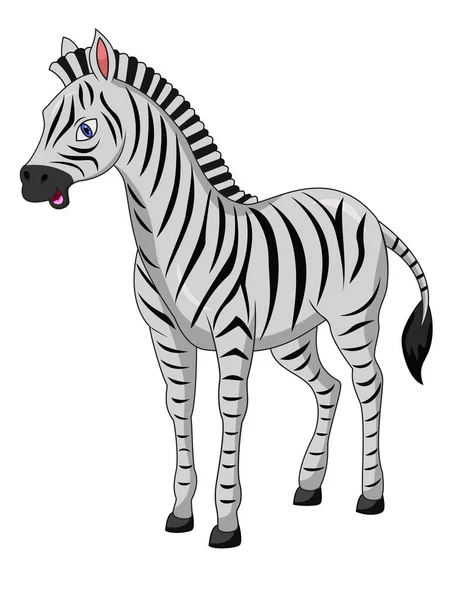 Söt Zebra Tecknad Isolerad Vit Bakgrund — Stock vektor