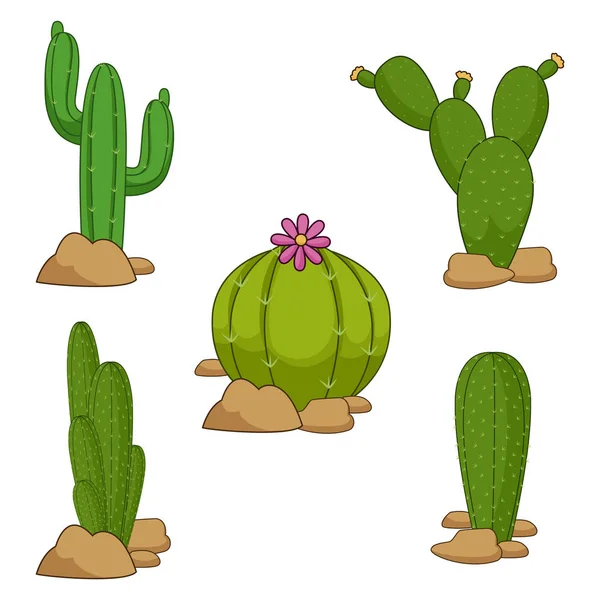 Colección Ilustración Cactus — Archivo Imágenes Vectoriales