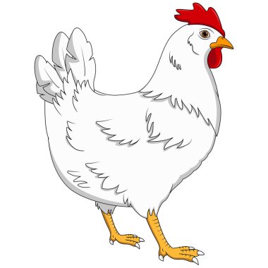 Beyaz arka plan üzerinde izole karikatür tavuk