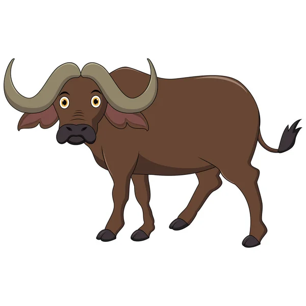 Ilustração Buffalo Africano Bonito — Vetor de Stock