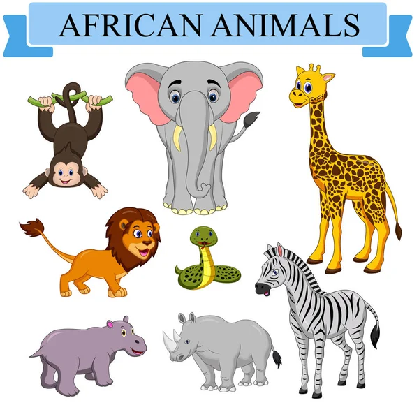 Kolekcja Afrykańskich Zwierząt Kreskówki — Wektor stockowy