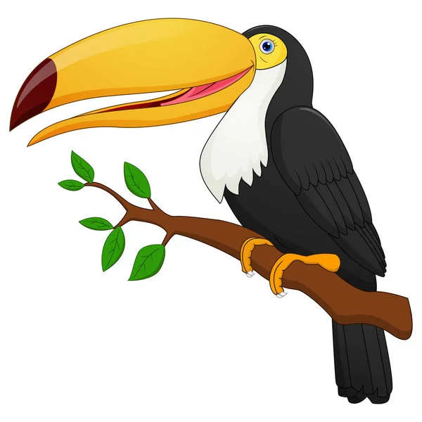 Desenhos Animados Bonito Pássaro Tucano —  Vetores de Stock