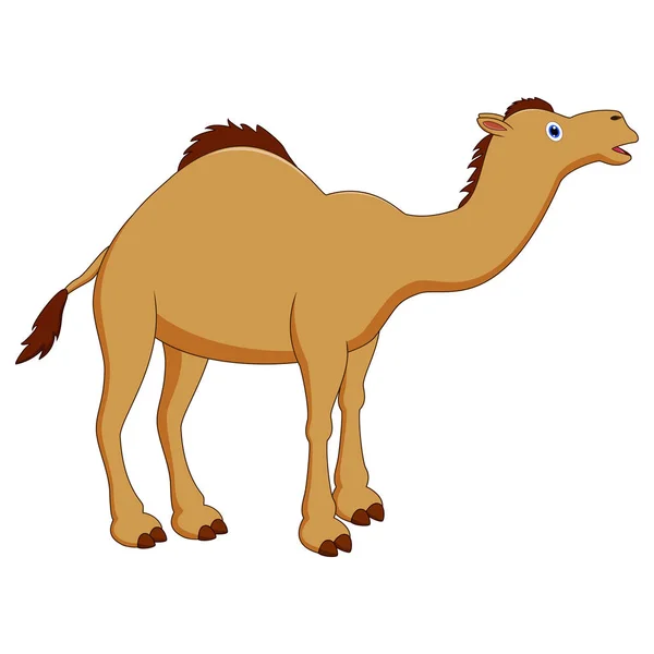 Illustration Cute Camel Cartoon — Stock Vector