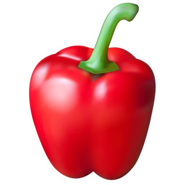 Kırmızı biber - vektör illüstrasyon